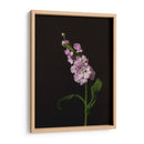 Oscuro Y Soñador Ii - Renee W. Stramel | Cuadro decorativo de Canvas Lab