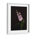 Oscuro Y Soñador Ii - Renee W. Stramel | Cuadro decorativo de Canvas Lab