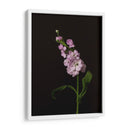 Oscuro Y Soñador Ii - Renee W. Stramel | Cuadro decorativo de Canvas Lab