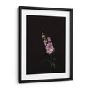 Oscuro Y Soñador Iii - Renee W. Stramel | Cuadro decorativo de Canvas Lab