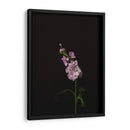 Oscuro Y Soñador Iii - Renee W. Stramel | Cuadro decorativo de Canvas Lab