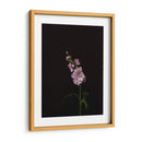 Oscuro Y Soñador Iii - Renee W. Stramel | Cuadro decorativo de Canvas Lab