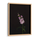 Oscuro Y Soñador Iii - Renee W. Stramel | Cuadro decorativo de Canvas Lab