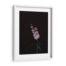 Oscuro Y Soñador Iii - Renee W. Stramel | Cuadro decorativo de Canvas Lab