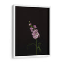 Oscuro Y Soñador Iii - Renee W. Stramel | Cuadro decorativo de Canvas Lab