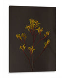 Oscuro Y Soñador Iv - Renee W. Stramel | Cuadro decorativo de Canvas Lab