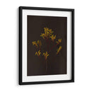 Oscuro Y Soñador Iv - Renee W. Stramel | Cuadro decorativo de Canvas Lab