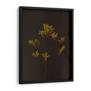 Oscuro Y Soñador Iv - Renee W. Stramel | Cuadro decorativo de Canvas Lab