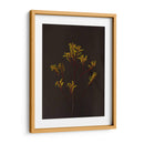 Oscuro Y Soñador Iv - Renee W. Stramel | Cuadro decorativo de Canvas Lab