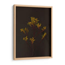 Oscuro Y Soñador Iv - Renee W. Stramel | Cuadro decorativo de Canvas Lab