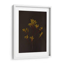 Oscuro Y Soñador Iv - Renee W. Stramel | Cuadro decorativo de Canvas Lab