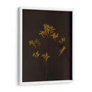 Oscuro Y Soñador Iv - Renee W. Stramel | Cuadro decorativo de Canvas Lab