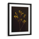 Oscuro Y Soñador V - Renee W. Stramel | Cuadro decorativo de Canvas Lab