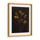 Oscuro Y Soñador V - Renee W. Stramel | Cuadro decorativo de Canvas Lab