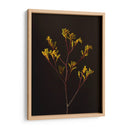 Oscuro Y Soñador V - Renee W. Stramel | Cuadro decorativo de Canvas Lab