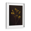 Oscuro Y Soñador V - Renee W. Stramel | Cuadro decorativo de Canvas Lab