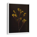 Oscuro Y Soñador V - Renee W. Stramel | Cuadro decorativo de Canvas Lab