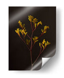 Oscuro Y Soñador V - Renee W. Stramel | Cuadro decorativo de Canvas Lab