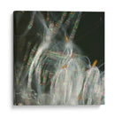 Baile De Hadas I - Gillian Hunt | Cuadro decorativo de Canvas Lab