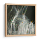 Baile De Hadas I - Gillian Hunt | Cuadro decorativo de Canvas Lab