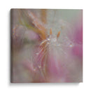 Fairy Dance Ii - Gillian Hunt | Cuadro decorativo de Canvas Lab