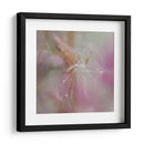 Fairy Dance Ii - Gillian Hunt | Cuadro decorativo de Canvas Lab