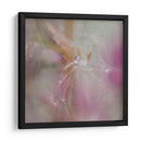 Fairy Dance Ii - Gillian Hunt | Cuadro decorativo de Canvas Lab