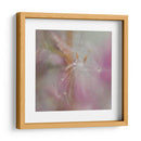 Fairy Dance Ii - Gillian Hunt | Cuadro decorativo de Canvas Lab