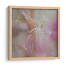 Fairy Dance Ii - Gillian Hunt | Cuadro decorativo de Canvas Lab