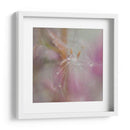 Fairy Dance Ii - Gillian Hunt | Cuadro decorativo de Canvas Lab