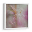 Fairy Dance Ii - Gillian Hunt | Cuadro decorativo de Canvas Lab