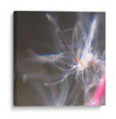 Danza De Hadas Iv - Gillian Hunt | Cuadro decorativo de Canvas Lab