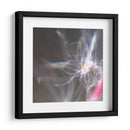 Danza De Hadas Iv - Gillian Hunt | Cuadro decorativo de Canvas Lab