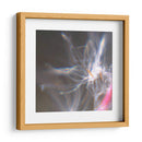 Danza De Hadas Iv - Gillian Hunt | Cuadro decorativo de Canvas Lab