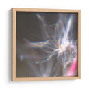 Danza De Hadas Iv - Gillian Hunt | Cuadro decorativo de Canvas Lab