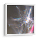 Danza De Hadas Iv - Gillian Hunt | Cuadro decorativo de Canvas Lab