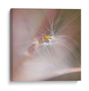 Baile De Hadas V - Gillian Hunt | Cuadro decorativo de Canvas Lab