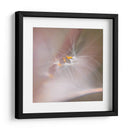 Baile De Hadas V - Gillian Hunt | Cuadro decorativo de Canvas Lab