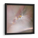 Baile De Hadas V - Gillian Hunt | Cuadro decorativo de Canvas Lab