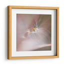 Baile De Hadas V - Gillian Hunt | Cuadro decorativo de Canvas Lab