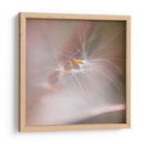 Baile De Hadas V - Gillian Hunt | Cuadro decorativo de Canvas Lab