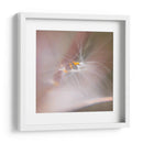 Baile De Hadas V - Gillian Hunt | Cuadro decorativo de Canvas Lab