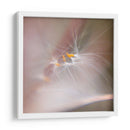 Baile De Hadas V - Gillian Hunt | Cuadro decorativo de Canvas Lab