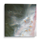 Baile De Hadas Vi - Gillian Hunt | Cuadro decorativo de Canvas Lab