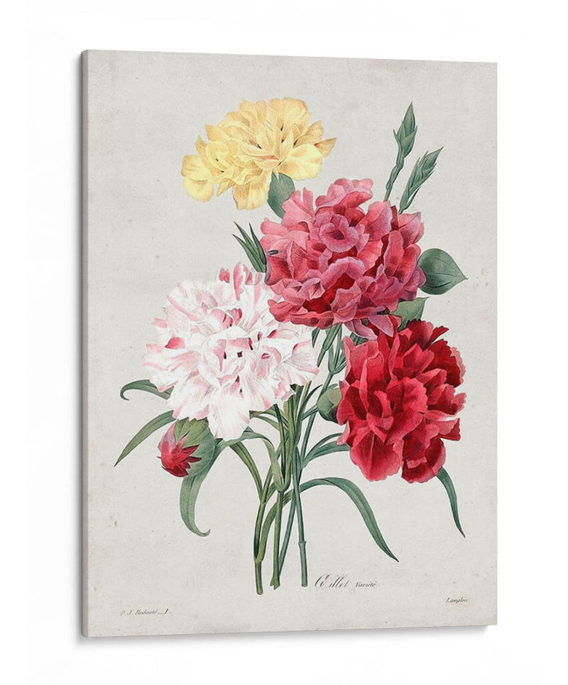 Redute Bouquet I - Pierre Redoute | Cuadro decorativo de Canvas Lab