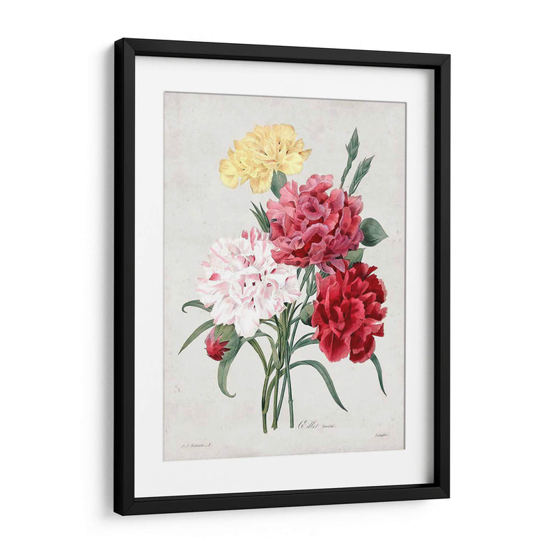 Redute Bouquet I - Pierre Redoute | Cuadro decorativo de Canvas Lab