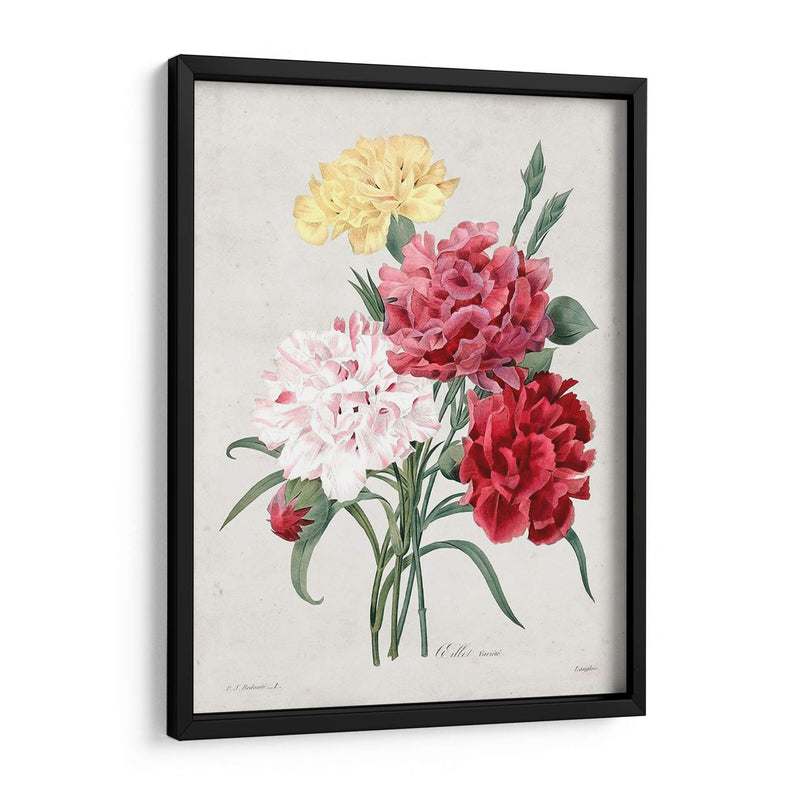 Redute Bouquet I - Pierre Redoute | Cuadro decorativo de Canvas Lab