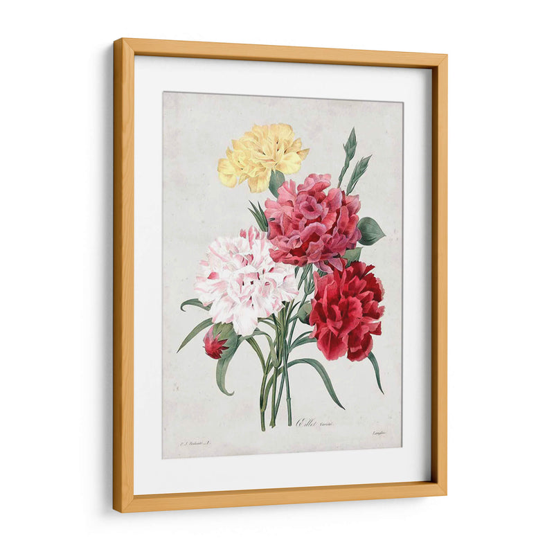 Redute Bouquet I - Pierre Redoute | Cuadro decorativo de Canvas Lab