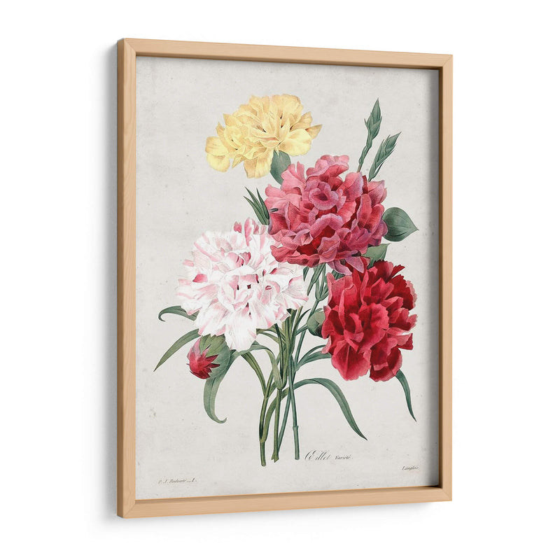 Redute Bouquet I - Pierre Redoute | Cuadro decorativo de Canvas Lab