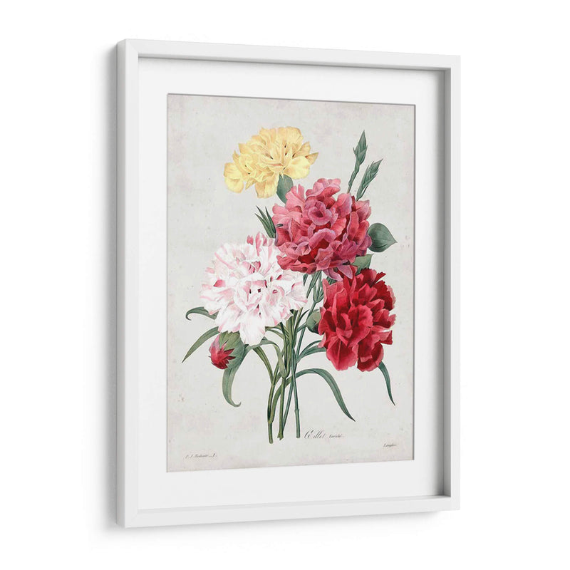 Redute Bouquet I - Pierre Redoute | Cuadro decorativo de Canvas Lab